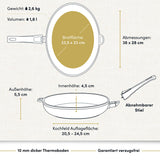 "Bild einer beschichteten Aluguss-Fischpfanne mit technischen Daten, die die robuste Konstruktion und die antihaftbeschichtete Oberfläche hervorheben."