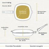 "Bild einer beschichteten Aluguss-Grillpfanne mit technischen Daten, die die robuste Bauweise und die antihaftbeschichtete Oberfläche hervorheben."