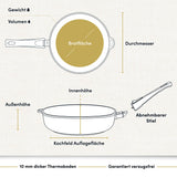"Bild einer beschichteten Aluguss-Hochrandpfanne mit technischen Daten, die ihre robuste Bauweise und die antihaftbeschichtete Oberfläche hervorheben."