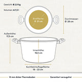 "Bild eines hohen, beschichteten Aluguss-Kochtopfs mit technischen Daten, der die robuste Bauweise und die spezielle Beschichtung des Kochgeschirrs zeigt."