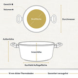 "Bild eines beschichteten Aluguss-Kochtopfs mit technischen Daten, der für langlebiges Kochen und einfache Reinigung sorgt."