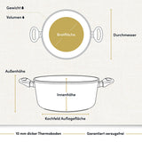 "Bild eines beschichteten Aluguss-Kochtopfs mit technischen Daten, der für langlebiges Kochen und einfache Reinigung sorgt."