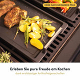 Teppanyakiplatte I Grillplatte mit Seitengriffen I 41x24 cm