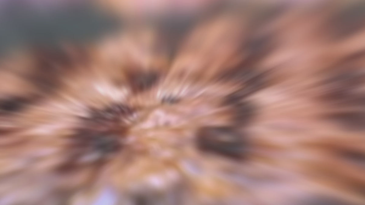 Video laden: 